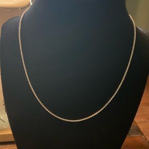 Tiffany and Co. chain 16”